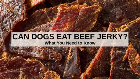 is human beef jerky bad for dogs