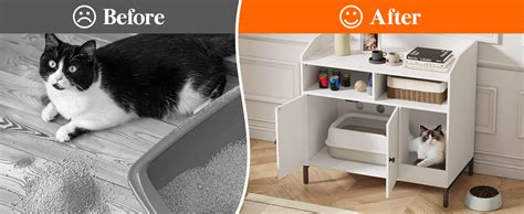 Is It Bad To Be In The Same Room As A Litter Box