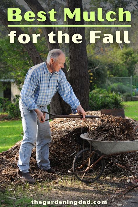Mulching Fall Flowerbeds How To Stop Next Year's Weeds Now!