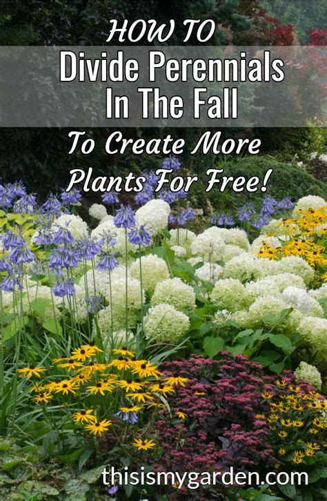 Is It Better To Plant In Spring Or Fall