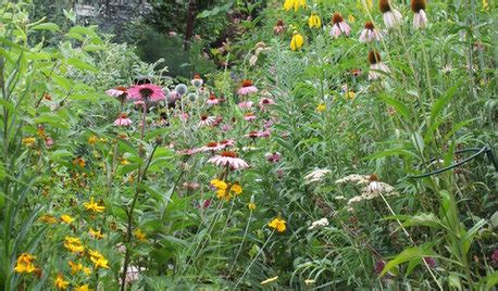 Is It Better To Plant Shrubs In Fall Or Spring