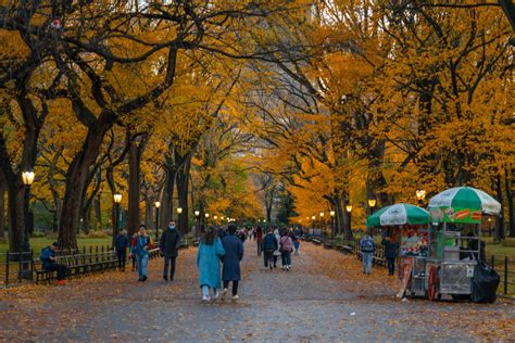 Is It Cold In Nyc In October