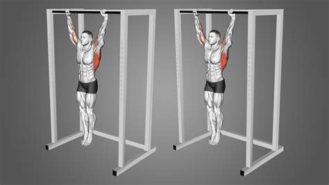 Is It Good To Hang From A Bar