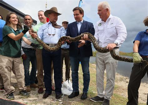 is it illegal to shoot pythons in the everglades