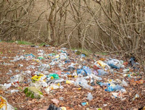 Is It Illegal To Throw A Gun In The Trash