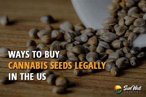 is it legal to buy weed seeds