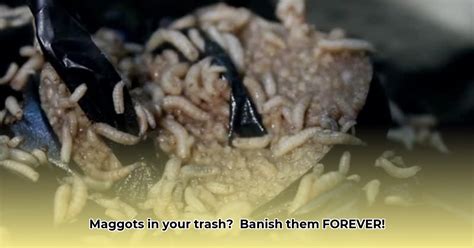 Is It Normal To Have Maggots In Trash Can