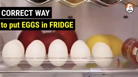 Is It Ok To Put Eggs In A Fridge