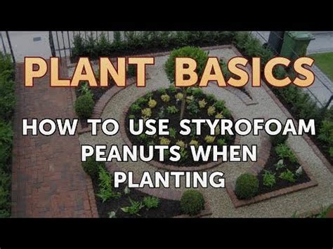 Is It Ok To Use Styrofoam Peanuts In Planters