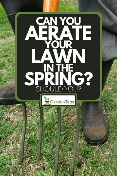 3 Key Steps for a Beautiful Lush Lawn Next Spring Aerate, Compost