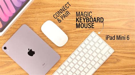 is it possible to connect a keyboard and mouse to an ipad