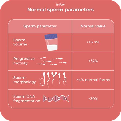 Is It Possible To Get Pregnant If You Sit On Sperm