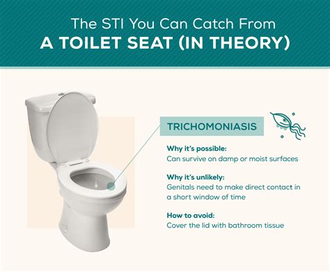 Is It Possible To Get Trichomoniasis From A Toilet