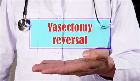 Is It Possible To Have A Vasectomy Reversed