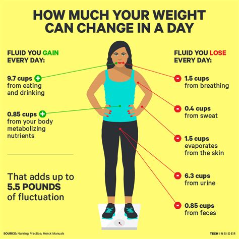 is it possible to lose fat while maintaining weight