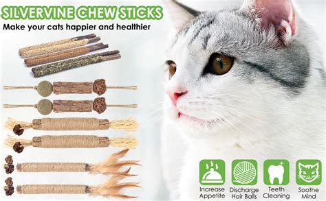 is it safe for cats to chew on sticks