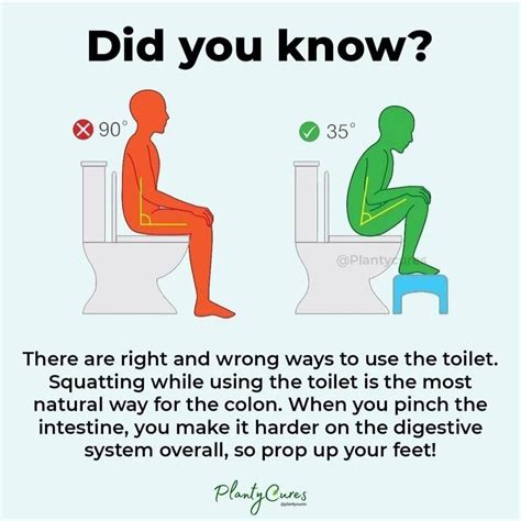 Is It Safe To Pull Poop Out When Constipated