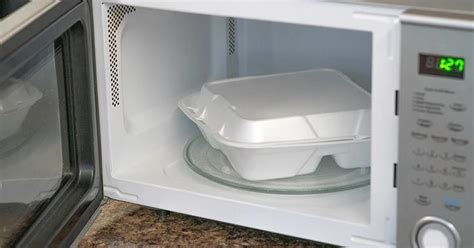 Is It Safe To Put Styrofoam In The Freezer