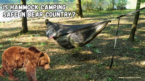 Is It Safe To Sleep In A Hammock In Bear Country