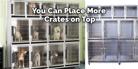 Is It Safe To Stack Dog Crates