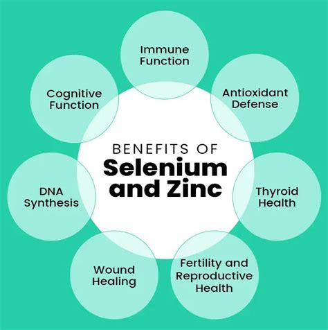 Is It Safe To Take Selenium And Zinc Together