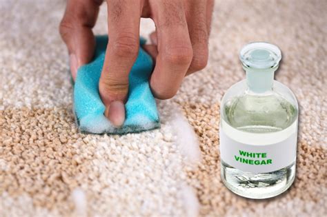 Is It Safe To Use Vinegar On Carpet