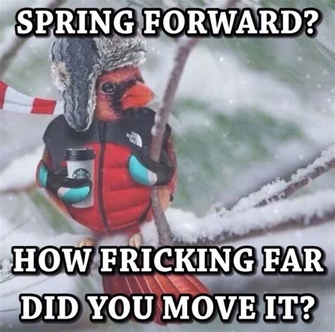 is it supposed to be cold in spring