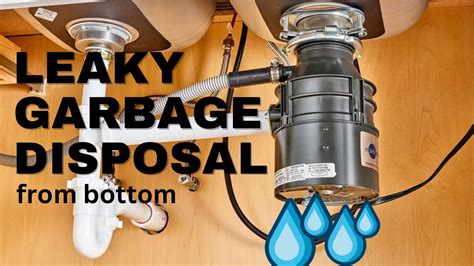 Is It Worth Fixing A Leaking Garbage Disposal