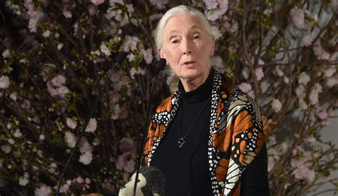 is jane goodall alive
