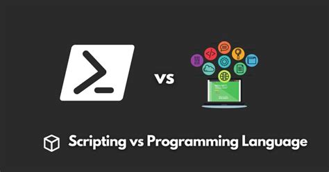 is javascript programming language or scripting language