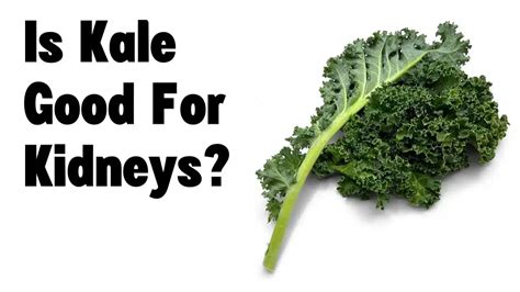 Is Kale Good For Kidney Function