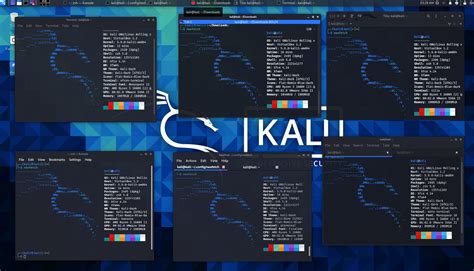 Is Kali Linux Best For Programming