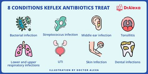 is keflex a strong antibiotic