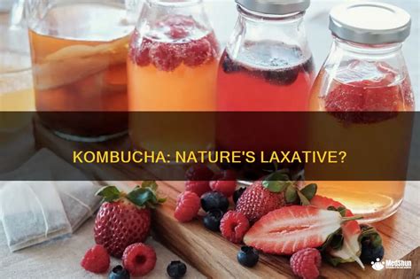 is kombucha a laxative