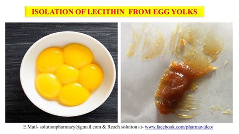 Is Lecithin In Eggs