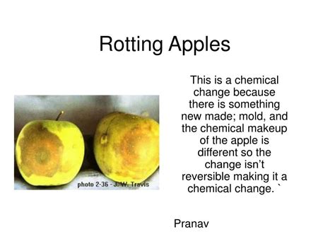 is letting fruit rot a chemical change