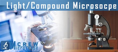 Is Light Microscope And Compound Microscope The Same