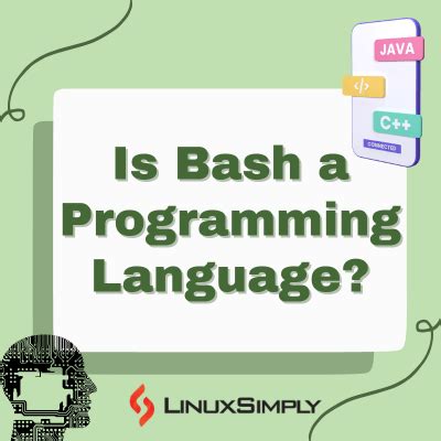 is linux bash a programming language