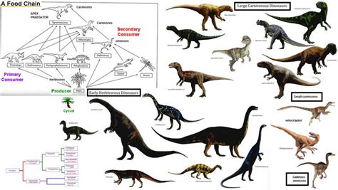 is lirainosaurus a carnivore