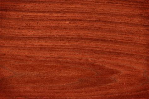 is mahogany a hardwood or softwood