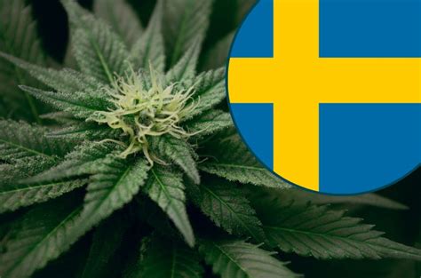 is marijuana illegal in sweden