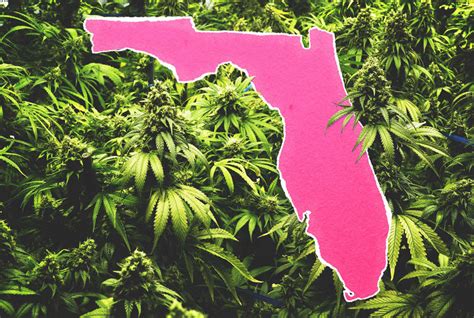 is marijuana legal in florida
