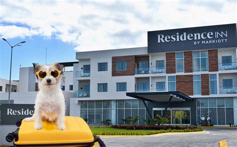 Is Marriott Cat Friendly