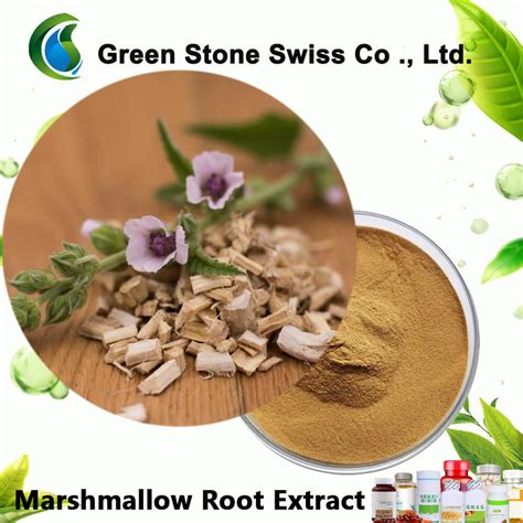 Is Marshmallow Root Extract Safe
