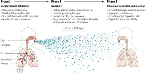 is meningitis an airborne disease