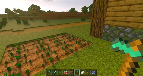 is minecraft java or bedrock more popular