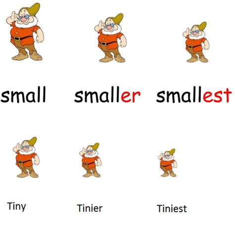 Is Mini Smaller Than Tiny