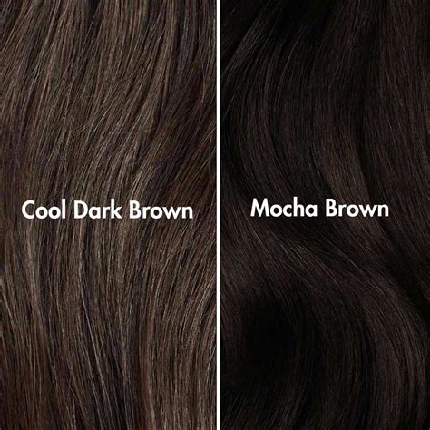 Fresh Is Mocha Brown Cool Or Warm With Simple Style