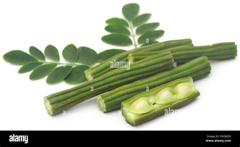 Is Moringa Stem Edible