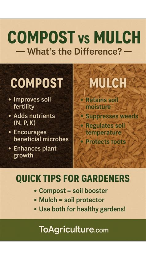 Is Mulch And Compost The Same